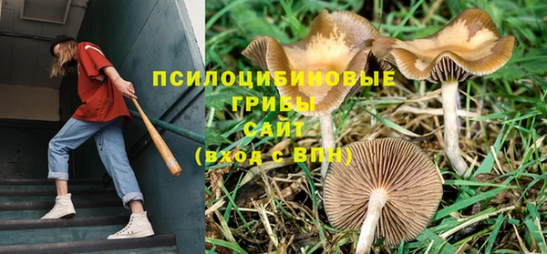 мдма Бородино