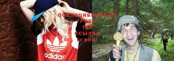 mdpv Бронницы