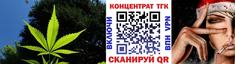 Дистиллят ТГК гашишное масло площадка состав Шумиха
