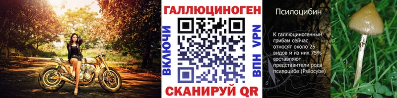 Псилоцибиновые грибы Psilocybe  Шумиха 